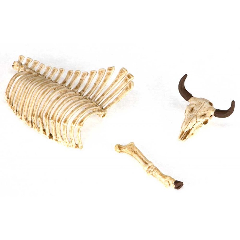 NEWSLETTER SET to the farm NEWSLETTER SET to the farm