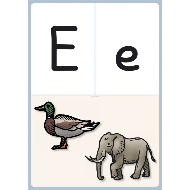 Class cards for the classroom - BASIC