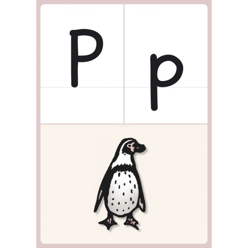 Class cards for the classroom - BASIC