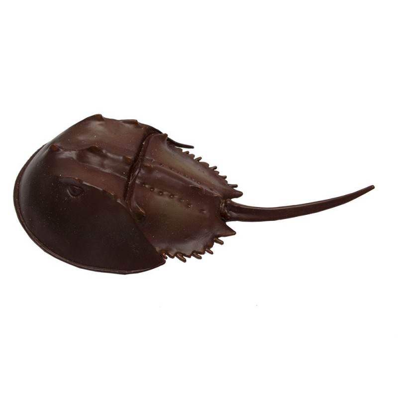 Erdzeitalter Figuren Set PREMIUM Erdzeitalter Figuren Set PREMIUM