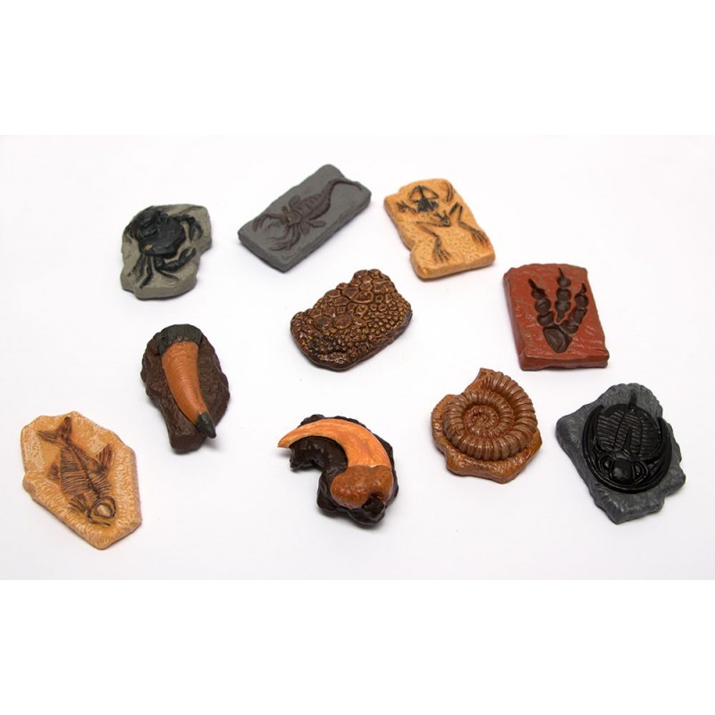 Erdzeitalter Figuren Set PREMIUM Erdzeitalter Figuren Set PREMIUM