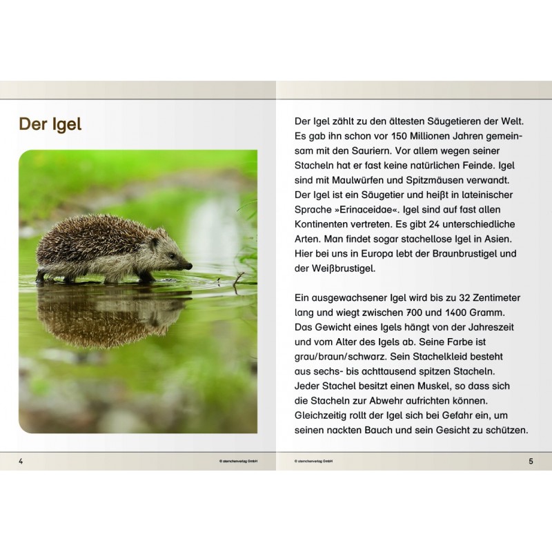 Ich kenne den Igel Ich kenne den Igel