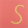 Sandpaper letters SIMPLIFIED initial font UPPERCASE