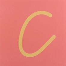 Sandpaper letters SIMPLIFIED initial font UPPERCASE