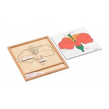 Colored botany puzzle activity set-flower