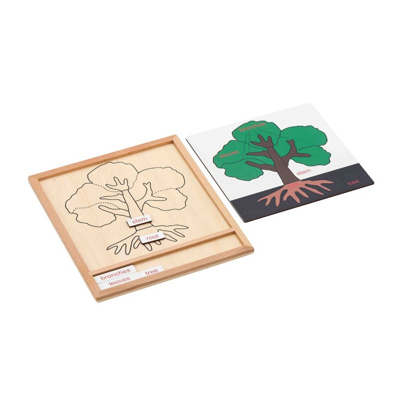 Colored botany puzzle activity set-plant Colored botany puzzle activity set-plant