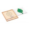 Colored botany puzzle activity set-leaf Colored botany puzzle activity set-leaf