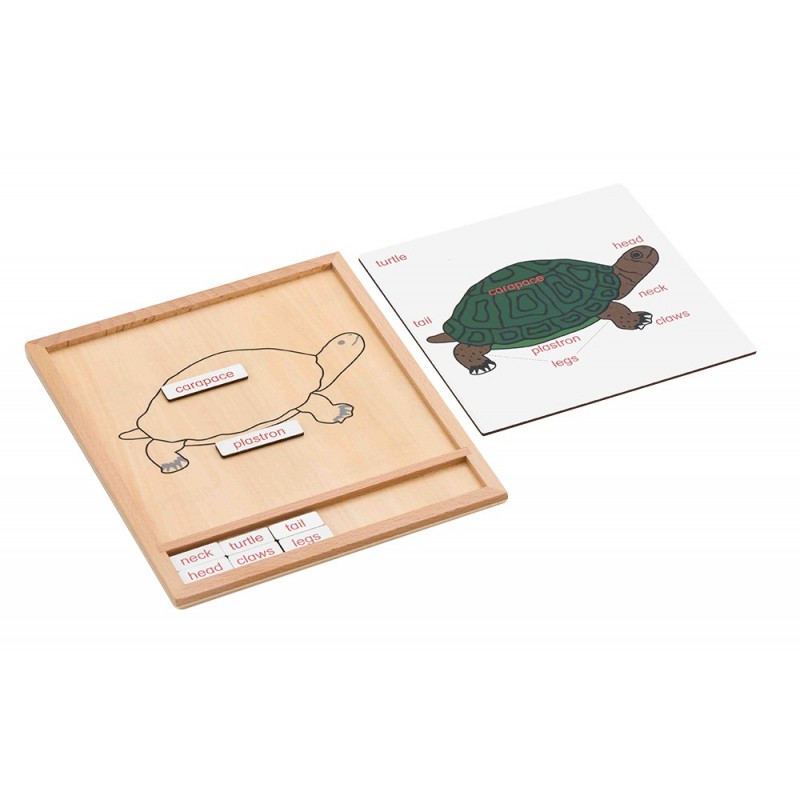 Colored animal puzzle activity set -turtle Colored animal puzzle activity set -turtle