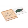 Colored animal puzzle activity set -turtle Colored animal puzzle activity set -turtle