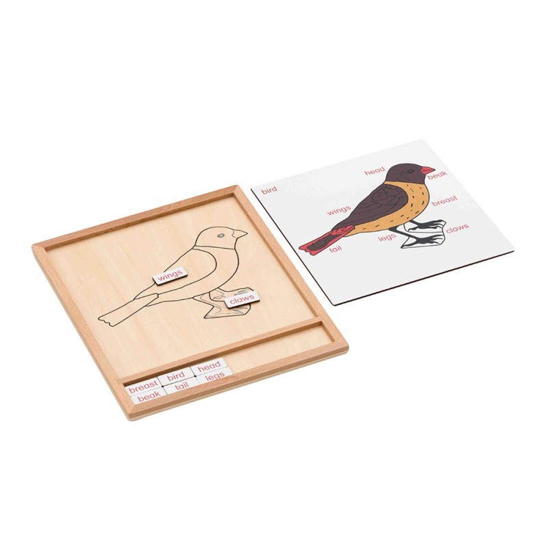 Farebné zvieratko puzzle aktivita-vták