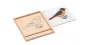 Colored animal puzzle activity set -bird