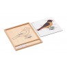 Colored animal puzzle activity set -bird - English Colored animal puzzle activity set -bird - English