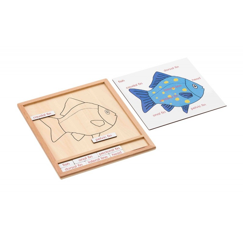 Colored animal puzzle activity set - fish