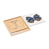 Colored animal puzzle activity set - butterfly Colored animal puzzle activity set - butterfly