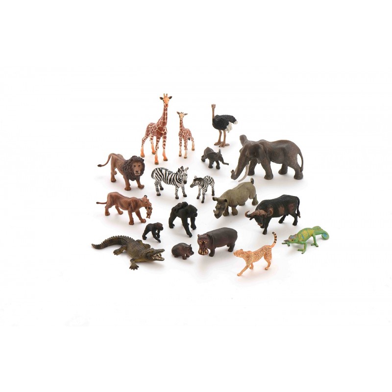 Africa Animals Africa Animals