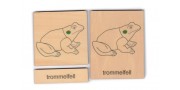 Klassifikation Körperbau Frosch