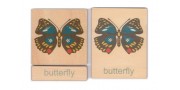 Klasifikácia postavy motýľ