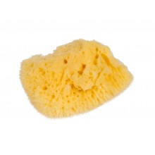 Small Natural Sponge