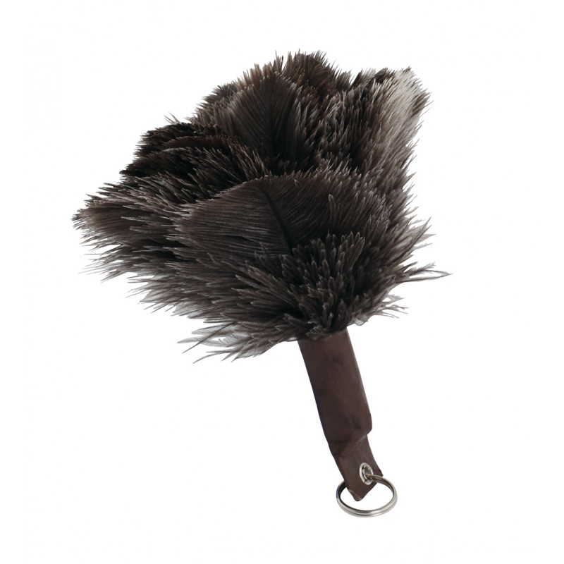 Feather Duster