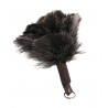 Feather Duster