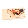 Toddler Puzzle: Rooster Toddler Puzzle: Rooster