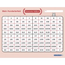 copy of My field of hundreds - Roman numerals + pen