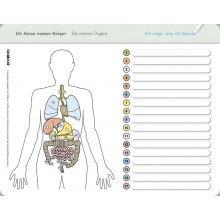 I know my body – The internal organs - without a pen