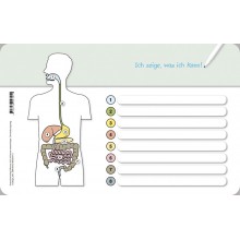 copy of I know my body - the digestive tract