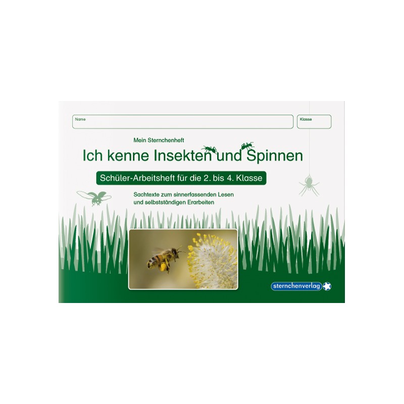 Lebenszyklus Marienkäfer Lebenszyklus Marienkäfer