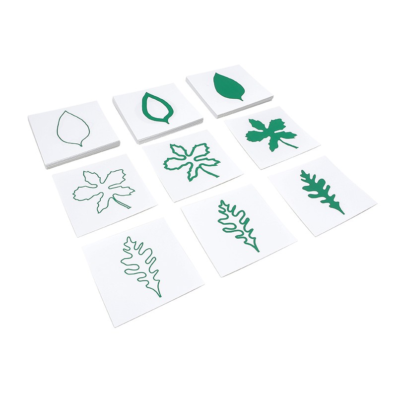 Leaf Shapes Cards