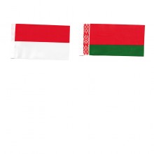 Flag Stand Of World (50)