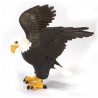 Orol plešatý Orol plešatý