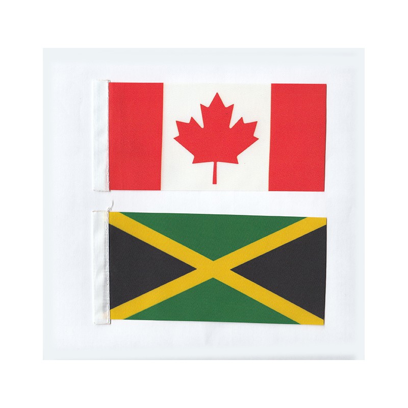 Flaggen Nord und Südamerika 35 Länder Flaggen Nord und Südamerika 35 Länder