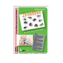 insects