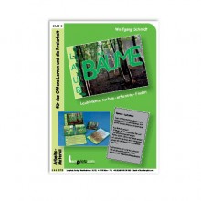 Trees - deciduous trees