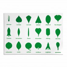 Schéma ovládania botanickej skrinky