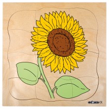 Holz-Puzzle - Wachstum - Sonnenblume