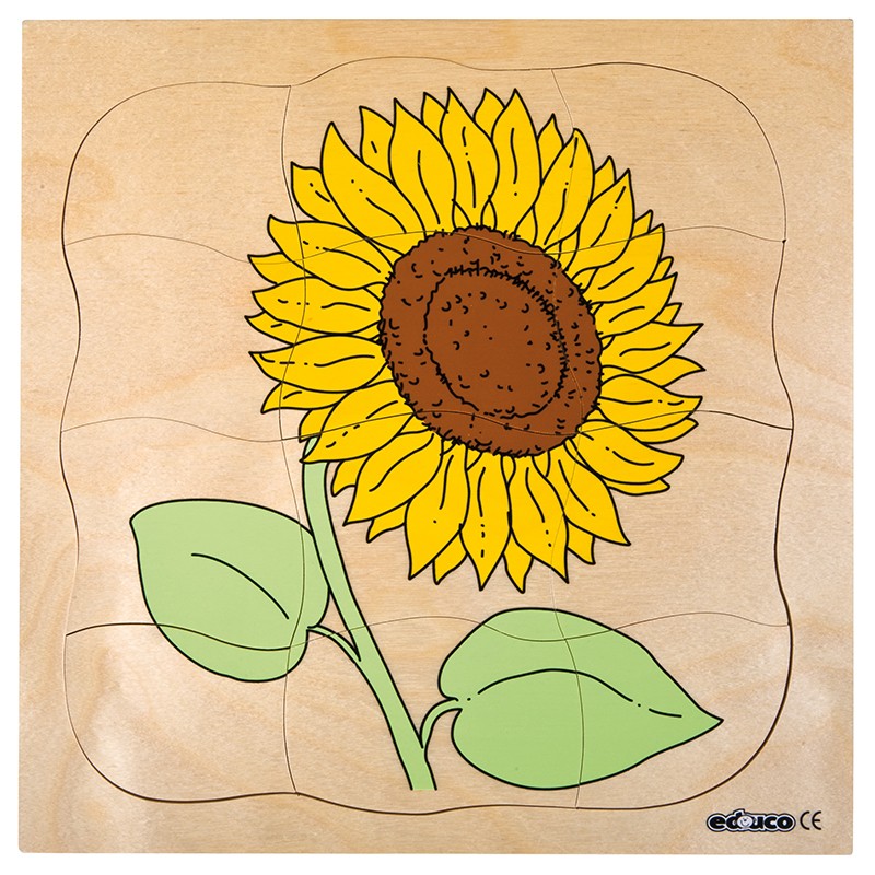 Growth puzzle - sunflower Growth puzzle - sunflower