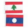Flag Stand Of Asia(47)