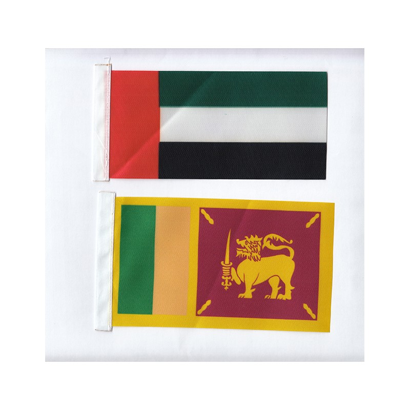 Flag Stand Of Asia(47)