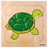 Growth puzzle - turtle Growth puzzle - turtle