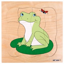 Growth puzzle - frog