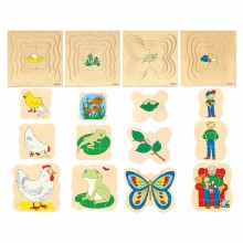 Growth puzzle - chicken