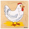 Growth puzzle - chicken Growth puzzle - chicken