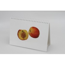 WIELAU­T: Wiener Lautprüfverfahren für Türkisch sprechende Kinder