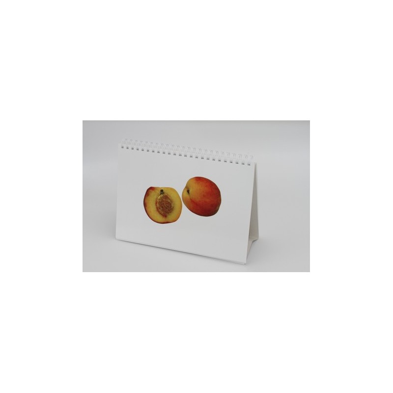 WIELAUT: Wiener Lautprüfverfahren für Türkisch sprechende Kinder WIELAUT: Wiener Lautprüfverfahren für Türkisch sprechende Kinder