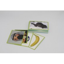 Engel, Ei und Araber