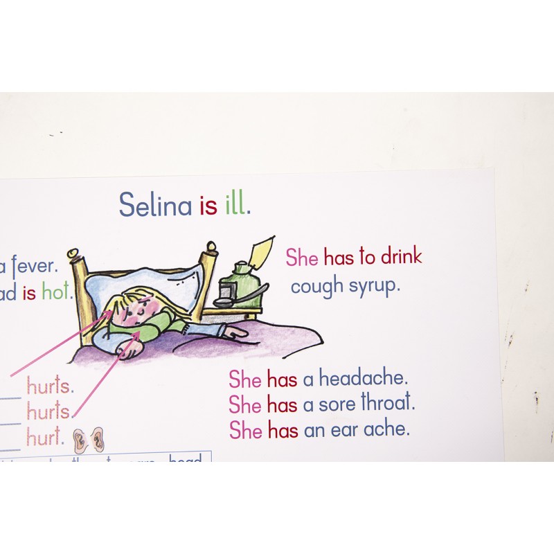 Bildtafeln Englisch DIN A2 Bildtafeln Englisch DIN A2