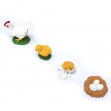 Chicken ACTION life cycle