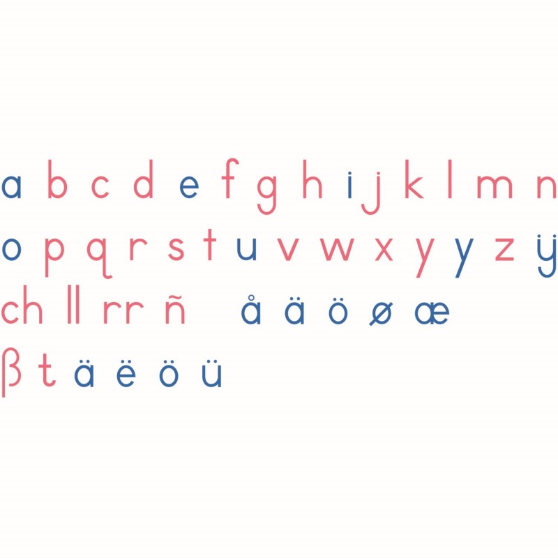 Wooden Movable Alphabet: International Print